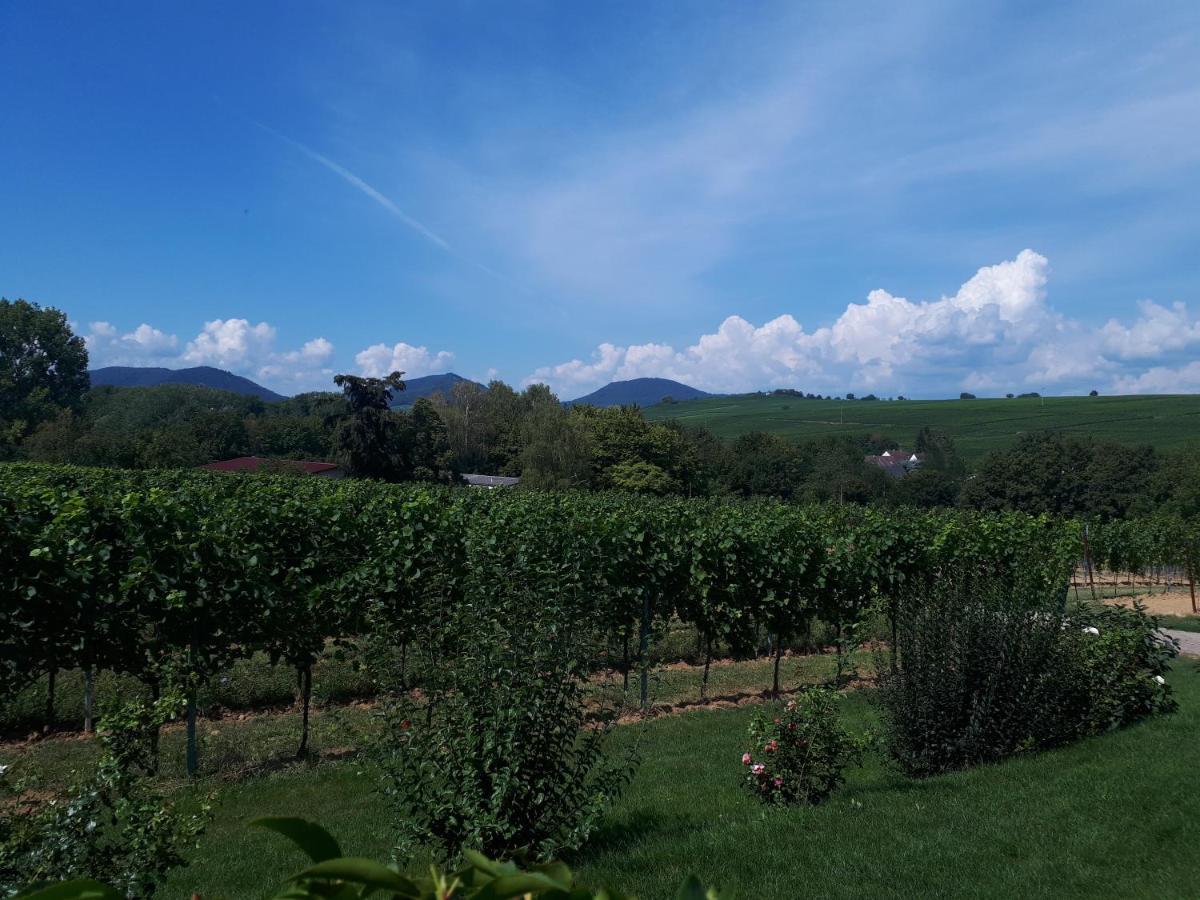 Ferienwohnung Natur Pur Landau in der Pfalz Exterior foto