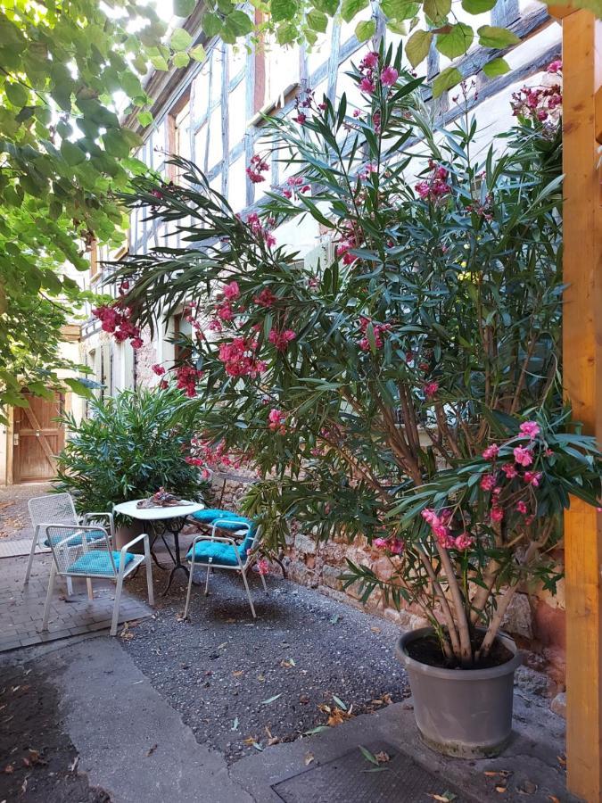 Ferienwohnung Natur Pur Landau in der Pfalz Exterior foto