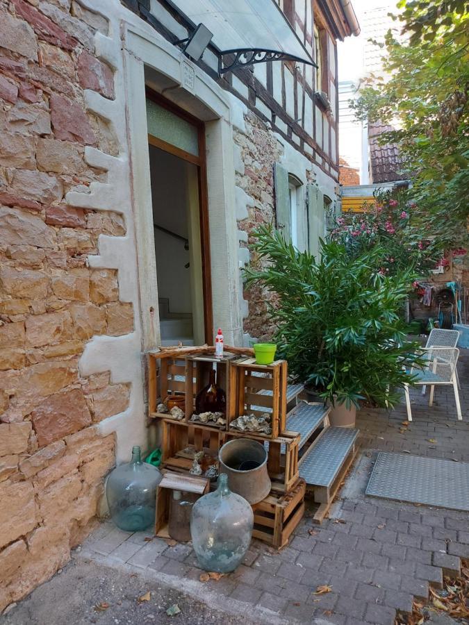 Ferienwohnung Natur Pur Landau in der Pfalz Exterior foto
